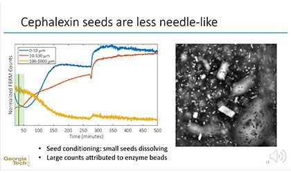 Monitoring and Detection of Byproduct Crystallization