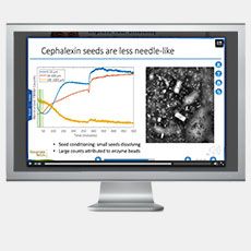 Reactive Crystallization of Beta-Lactam Antibiotics