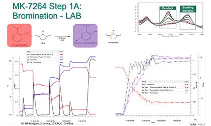 Small Molecule Drug Development with Multi-Scale PAT