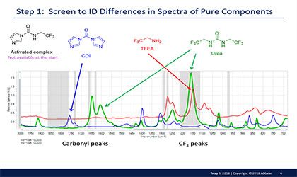 Process Development and Kinetic Understanding