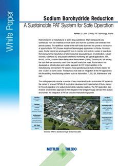 sodium borohydride reduction white paper