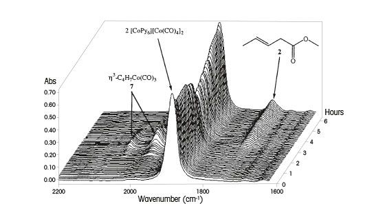 Catalysis Study Catalysis Study